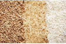 Rice