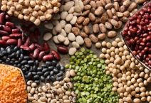 Pulses